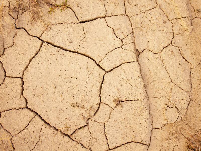 Comment identifier une fissure causée par la sécheresse ?